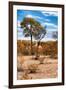 Awesome South Africa Collection - African Savanna Landscape III-Philippe Hugonnard-Framed Photographic Print