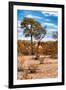 Awesome South Africa Collection - African Savanna Landscape III-Philippe Hugonnard-Framed Photographic Print