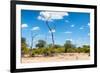 Awesome South Africa Collection - African Savanna Landscape IX-Philippe Hugonnard-Framed Photographic Print