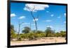 Awesome South Africa Collection - African Savanna Landscape IX-Philippe Hugonnard-Framed Photographic Print