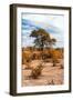 Awesome South Africa Collection - African Savanna Landscape V-Philippe Hugonnard-Framed Photographic Print