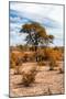 Awesome South Africa Collection - African Savanna Landscape V-Philippe Hugonnard-Mounted Photographic Print