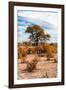 Awesome South Africa Collection - African Savanna Landscape V-Philippe Hugonnard-Framed Photographic Print