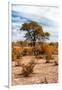 Awesome South Africa Collection - African Savanna Landscape V-Philippe Hugonnard-Framed Photographic Print