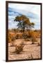 Awesome South Africa Collection - African Savanna Landscape V-Philippe Hugonnard-Framed Photographic Print