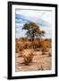 Awesome South Africa Collection - African Savanna Landscape V-Philippe Hugonnard-Framed Photographic Print