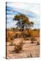 Awesome South Africa Collection - African Savanna Landscape V-Philippe Hugonnard-Stretched Canvas