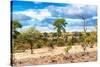 Awesome South Africa Collection - African Savanna Landscape VI-Philippe Hugonnard-Stretched Canvas