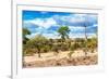 Awesome South Africa Collection - African Savanna Landscape VI-Philippe Hugonnard-Framed Photographic Print