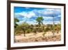 Awesome South Africa Collection - African Savanna Landscape VI-Philippe Hugonnard-Framed Photographic Print