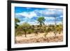 Awesome South Africa Collection - African Savanna Landscape VI-Philippe Hugonnard-Framed Photographic Print