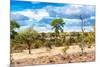 Awesome South Africa Collection - African Savanna Landscape VI-Philippe Hugonnard-Mounted Photographic Print