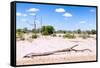 Awesome South Africa Collection - African Savanna Landscape VIIII-Philippe Hugonnard-Framed Stretched Canvas