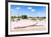 Awesome South Africa Collection - African Savanna Landscape VIIII-Philippe Hugonnard-Framed Photographic Print