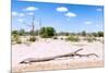 Awesome South Africa Collection - African Savanna Landscape VIIII-Philippe Hugonnard-Mounted Photographic Print