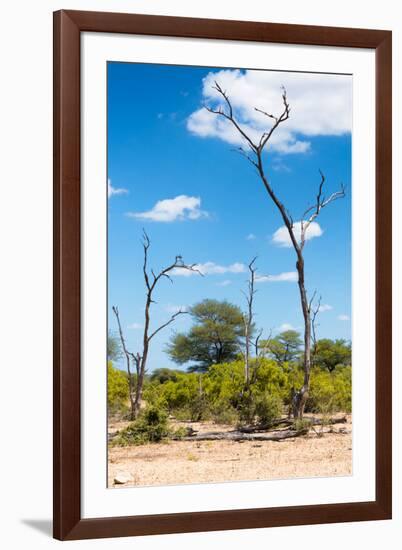 Awesome South Africa Collection - African Savanna Landscape X-Philippe Hugonnard-Framed Photographic Print