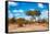 Awesome South Africa Collection - African Savanna Trees VII-Philippe Hugonnard-Framed Stretched Canvas