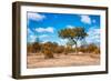 Awesome South Africa Collection - African Savanna Trees VII-Philippe Hugonnard-Framed Photographic Print