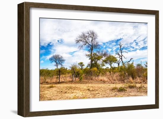 Awesome South Africa Collection - African Savanna Trees X-Philippe Hugonnard-Framed Photographic Print