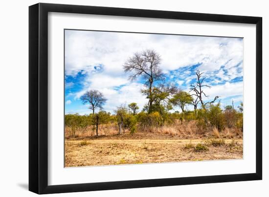 Awesome South Africa Collection - African Savanna Trees X-Philippe Hugonnard-Framed Photographic Print