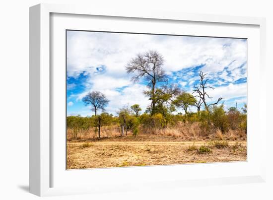 Awesome South Africa Collection - African Savanna Trees X-Philippe Hugonnard-Framed Photographic Print