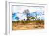 Awesome South Africa Collection - African Savanna Trees X-Philippe Hugonnard-Framed Photographic Print
