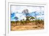 Awesome South Africa Collection - African Savanna Trees X-Philippe Hugonnard-Framed Photographic Print