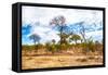 Awesome South Africa Collection - African Savanna Trees X-Philippe Hugonnard-Framed Stretched Canvas