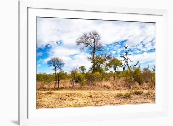 Awesome South Africa Collection - African Savanna Trees X-Philippe Hugonnard-Framed Photographic Print