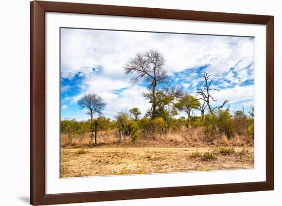 Awesome South Africa Collection - African Savanna Trees X-Philippe Hugonnard-Framed Photographic Print