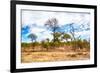 Awesome South Africa Collection - African Savanna Trees X-Philippe Hugonnard-Framed Photographic Print