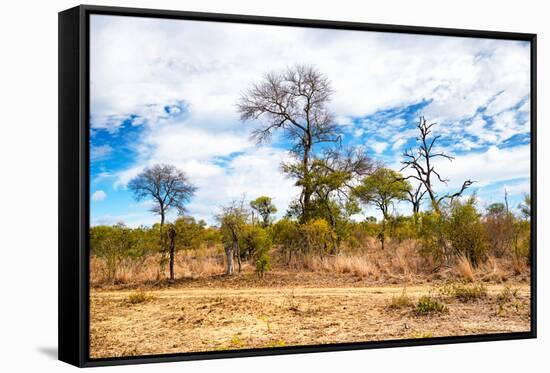 Awesome South Africa Collection - African Savanna Trees X-Philippe Hugonnard-Framed Stretched Canvas