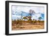 Awesome South Africa Collection - African Savanna Trees XI-Philippe Hugonnard-Framed Photographic Print