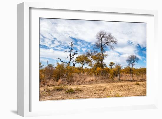 Awesome South Africa Collection - African Savanna Trees XI-Philippe Hugonnard-Framed Photographic Print