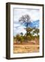 Awesome South Africa Collection - African Savanna Trees XII-Philippe Hugonnard-Framed Photographic Print