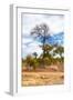 Awesome South Africa Collection - African Savanna Trees XII-Philippe Hugonnard-Framed Photographic Print