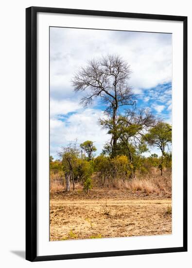 Awesome South Africa Collection - African Savanna Trees XII-Philippe Hugonnard-Framed Photographic Print