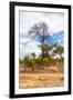 Awesome South Africa Collection - African Savanna Trees XII-Philippe Hugonnard-Framed Photographic Print