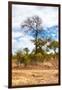 Awesome South Africa Collection - African Savanna Trees XII-Philippe Hugonnard-Framed Photographic Print