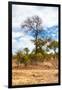 Awesome South Africa Collection - African Savanna Trees XII-Philippe Hugonnard-Framed Photographic Print