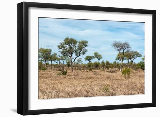 Awesome South Africa Collection - African Savannah-Philippe Hugonnard-Framed Photographic Print