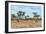 Awesome South Africa Collection - African Savannah-Philippe Hugonnard-Framed Photographic Print