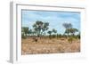 Awesome South Africa Collection - African Savannah-Philippe Hugonnard-Framed Photographic Print