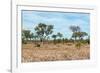 Awesome South Africa Collection - African Savannah-Philippe Hugonnard-Framed Photographic Print
