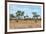 Awesome South Africa Collection - African Savannah-Philippe Hugonnard-Framed Photographic Print