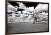 Awesome South Africa Collection - Another Look Savannah I-Philippe Hugonnard-Framed Photographic Print
