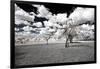 Awesome South Africa Collection - Another Look Savannah I-Philippe Hugonnard-Framed Photographic Print