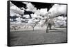 Awesome South Africa Collection - Another Look Savannah I-Philippe Hugonnard-Framed Stretched Canvas