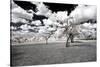 Awesome South Africa Collection - Another Look Savannah I-Philippe Hugonnard-Stretched Canvas