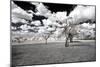 Awesome South Africa Collection - Another Look Savannah I-Philippe Hugonnard-Mounted Photographic Print